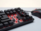 Combo teclado y mouse gamer RGB, vista 4